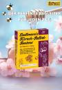 Dallmanns Bodenausteller - 120er - 4 Sorten - Wintervorbestellung - 35%